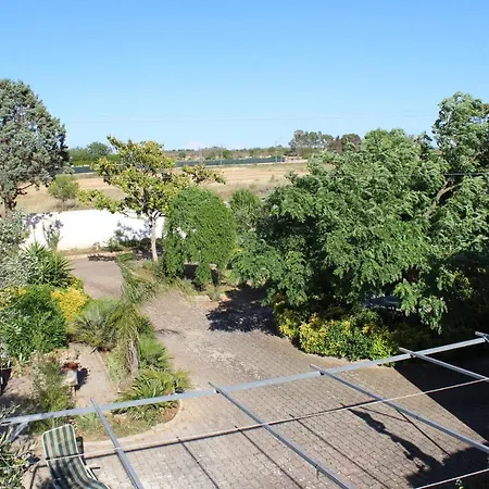 Il Giardino Di Alba Bed & Breakfast