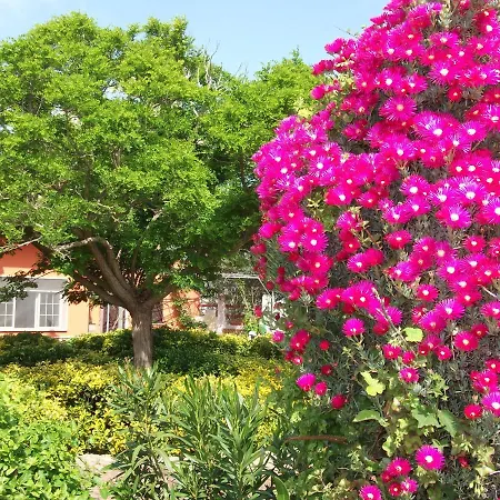 Il Giardino Di Alba Bed & Breakfast 3*