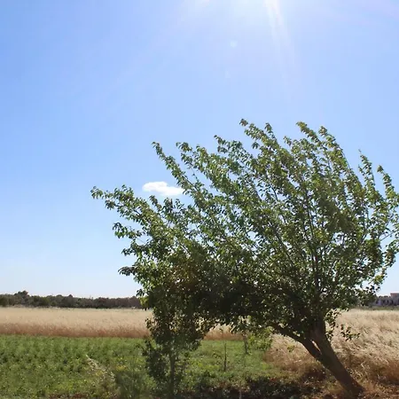 Il Giardino Di Alba Bed & Breakfast 3*