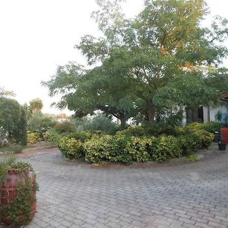 Frühstückspension Il Giardino Di Alba Soleto